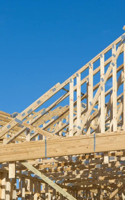 Untitled-design-2024-11-27T13203-1